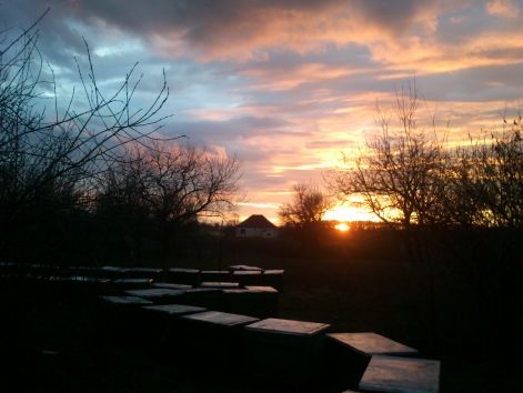 dsc_2551.jpg dsc_2551.jpg