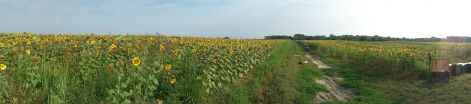 karasz_201308083.jpg karasz_201308083.jpg